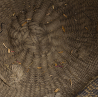 Wishram%20artist%2C%20%3Cb%3E%3Ci%3E%20Cylinder%20Bag%3C%2Fi%3E%3C%2Fb%3E%2C%201900%2C%20cornhusk%2C%20The%20Elizabeth%20Cole%20Butler%20Collection%2C%20no%20known%20copyright%20restrictions%2C%202012.92.5